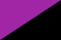 Anarcha-feminism flag